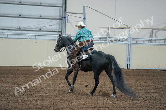 2020 - AB Morgan Horse - Fri, Sept 04 - 00618