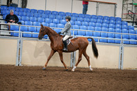 2020 - AB Morgan Horse - Fri, Sept 04 - 02958