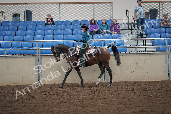 2019 Morgan Horse Show - Aug 30, 2019 - 25904