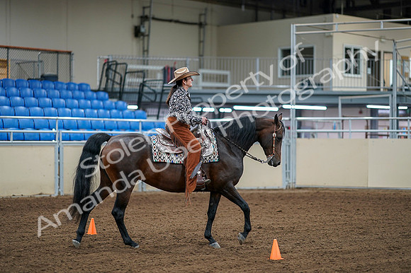 2020 - AB Morgan Horse - Fri, Sept 04 - 00396