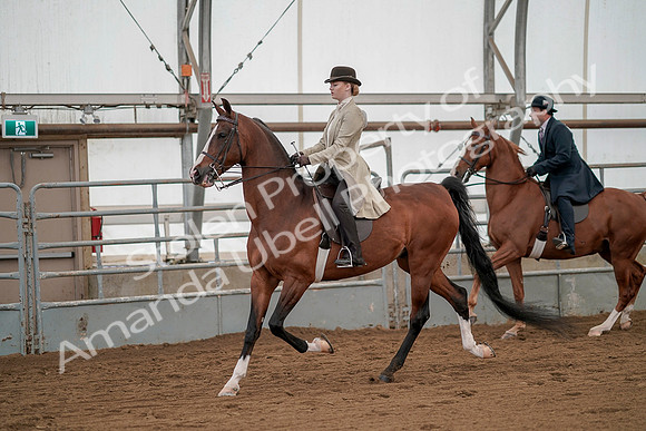 July 20, 2019 - 02137