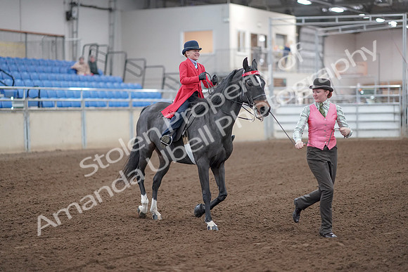 2019 Morgan Horse Show - Sept 01, 2019 - 10682_1