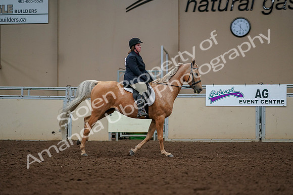2019 Morgan Horse Show - Aug 30, 2019 - 22572