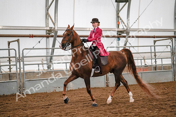 July 19, 2019 - 8931