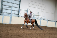 2020 - AB Morgan Horse - Sat, Sept 05 - 12074