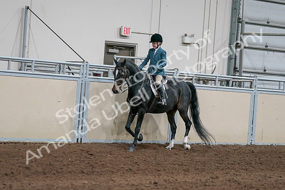 2020 - AB Morgan Horse - Fri, Sept 04 - 07747