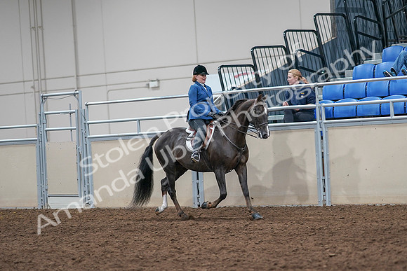 2020 - AB Morgan Horse - Sat, Sept 05 - 05072