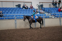 2019 Morgan Horse Show - Aug 31, 2019 - 16304