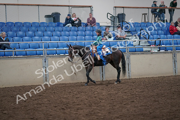 2019 Morgan Horse Show - Aug 31, 2019 - 16304