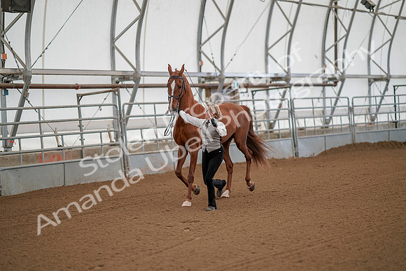 July 19, 2019 - 56