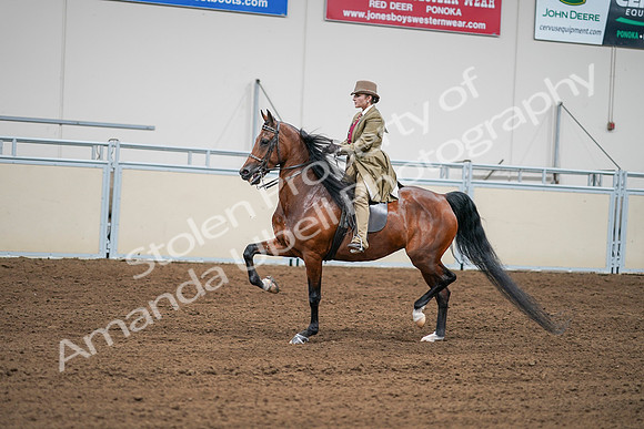 2020 - AB Morgan Horse - Sat, Sept 05 - 08005