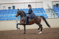 2019 Morgan Horse Show - Aug 30, 2019 - 24307
