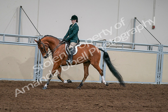 2020 - AB Morgan Horse - Sat, Sept 05 - 05014