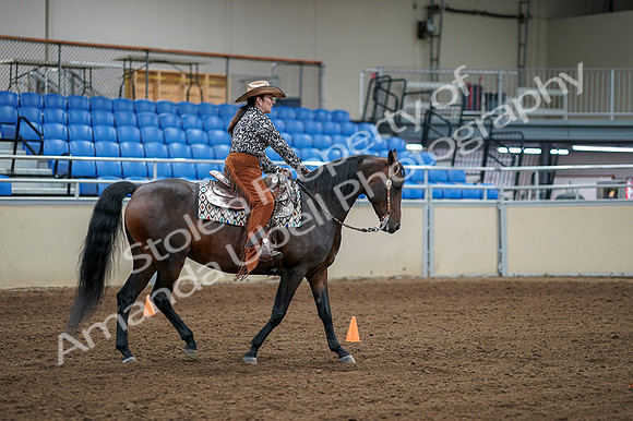 2020 - AB Morgan Horse - Fri, Sept 04 - 00394