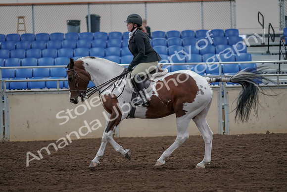 2019 Morgan Horse Show - Aug 30, 2019 - 14960