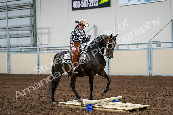 2020 - AB Morgan Horse - Fri, Sept 04 - 00319