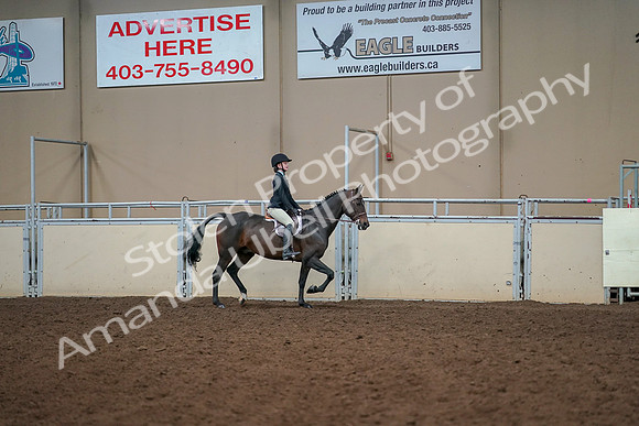 2019 Morgan Horse Show - Aug 30, 2019 - 12481