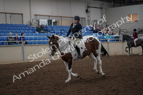2019 Morgan Horse Show - Aug 30, 2019 - 31286