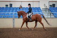 2019 Morgan Horse Show - Aug 30, 2019 - 16019