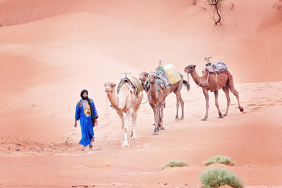 Morocco - 118