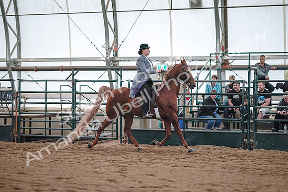 July 20, 2019 - 17137
