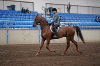 2019 Morgan Horse Show - Sept 01, 2019 - 12155
