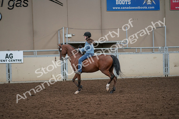 2019 Morgan Horse Show - Aug 30, 2019 - 31184