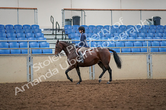2019 Morgan Horse Show - Aug 30, 2019 - 23215