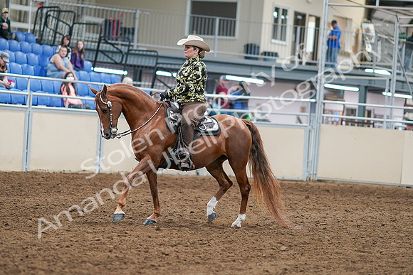 2020 - AB Morgan Horse - Sat, Sept 05 - 08888
