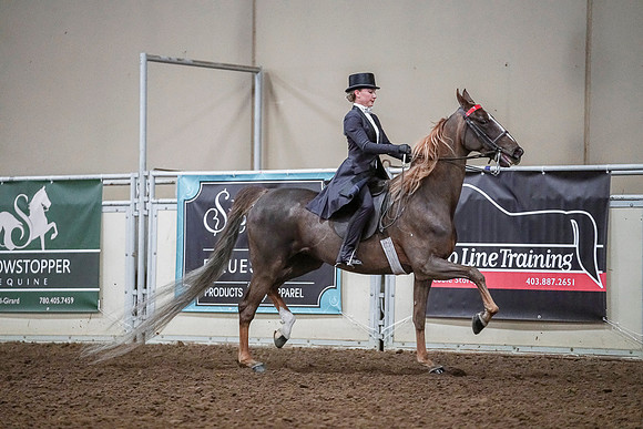 Spring Fling - Saturday - April 20, 2019  -  04230