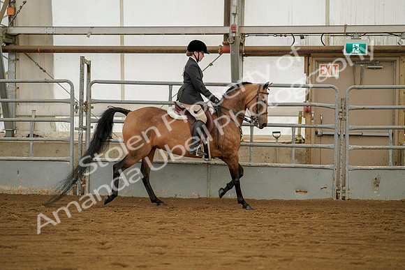 July 20, 2019 - 01565