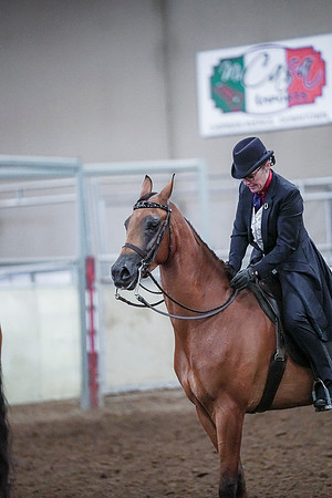 Spring Fling - Saturday - April 20, 2019  -  00844