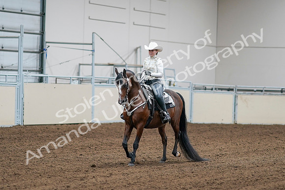 2020 - AB Morgan Horse - Sat, Sept 05 - 08998