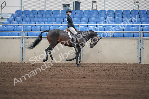 2019 Morgan Horse Show - Sept 01, 2019 - 03887