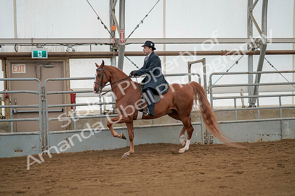 July 20, 2019 - 02085