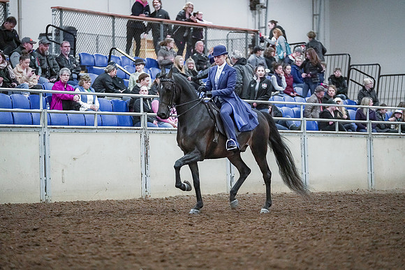 Spring Fling - Saturday - April 20, 2019  -  00672