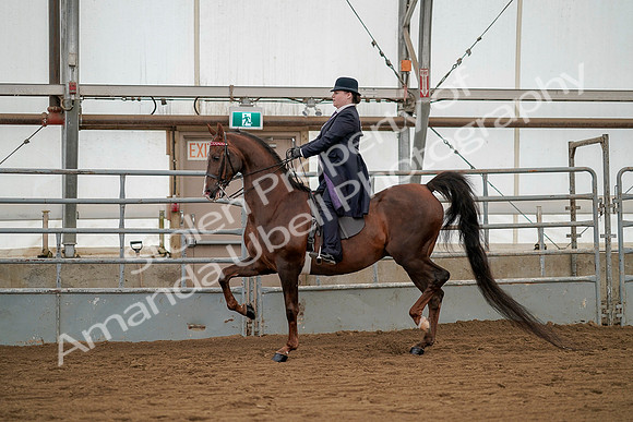 July 20, 2019 - 02246