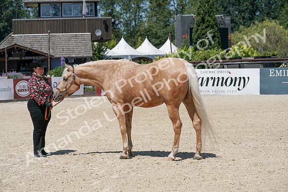 2024 - WCB - July 20 05260_1