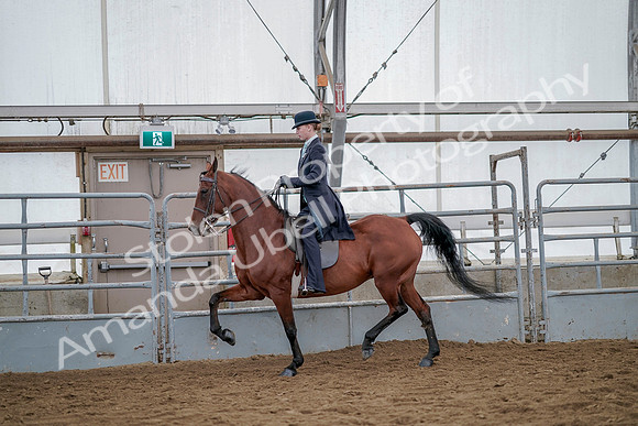 July 20, 2019 - 14557