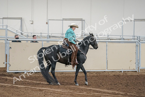 2020 - AB Morgan Horse - Fri, Sept 04 - 00527