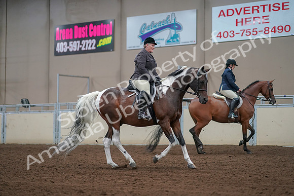 2019 Morgan Horse Show - Aug 30, 2019 - 16431