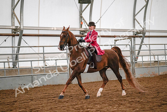 July 19, 2019 - 8926