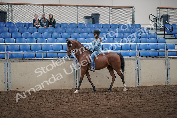 2019 Morgan Horse Show - Aug 30, 2019 - 31103