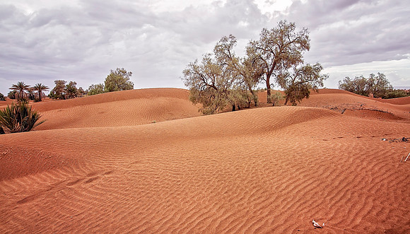 Morocco - 102