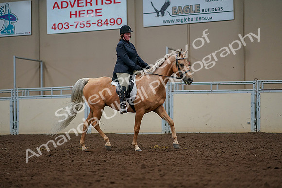 2019 Morgan Horse Show - Aug 30, 2019 - 22609