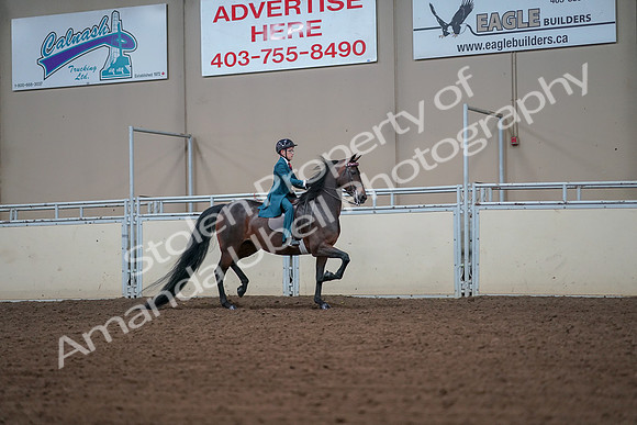 2019 Morgan Horse Show - Aug 30, 2019 - 18007