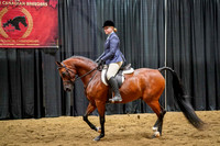 007 - 135 - Arabian Hunter Pl JOTR