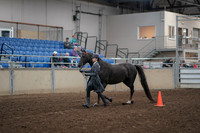 2019 Morgan Horse Show - Aug 31, 2019 - 02110