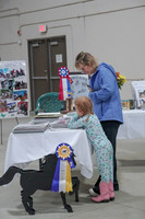 2019 Morgan Horse Show - Sept 01, 2019 - 05901