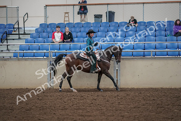 2019 Morgan Horse Show - Aug 30, 2019 - 26178